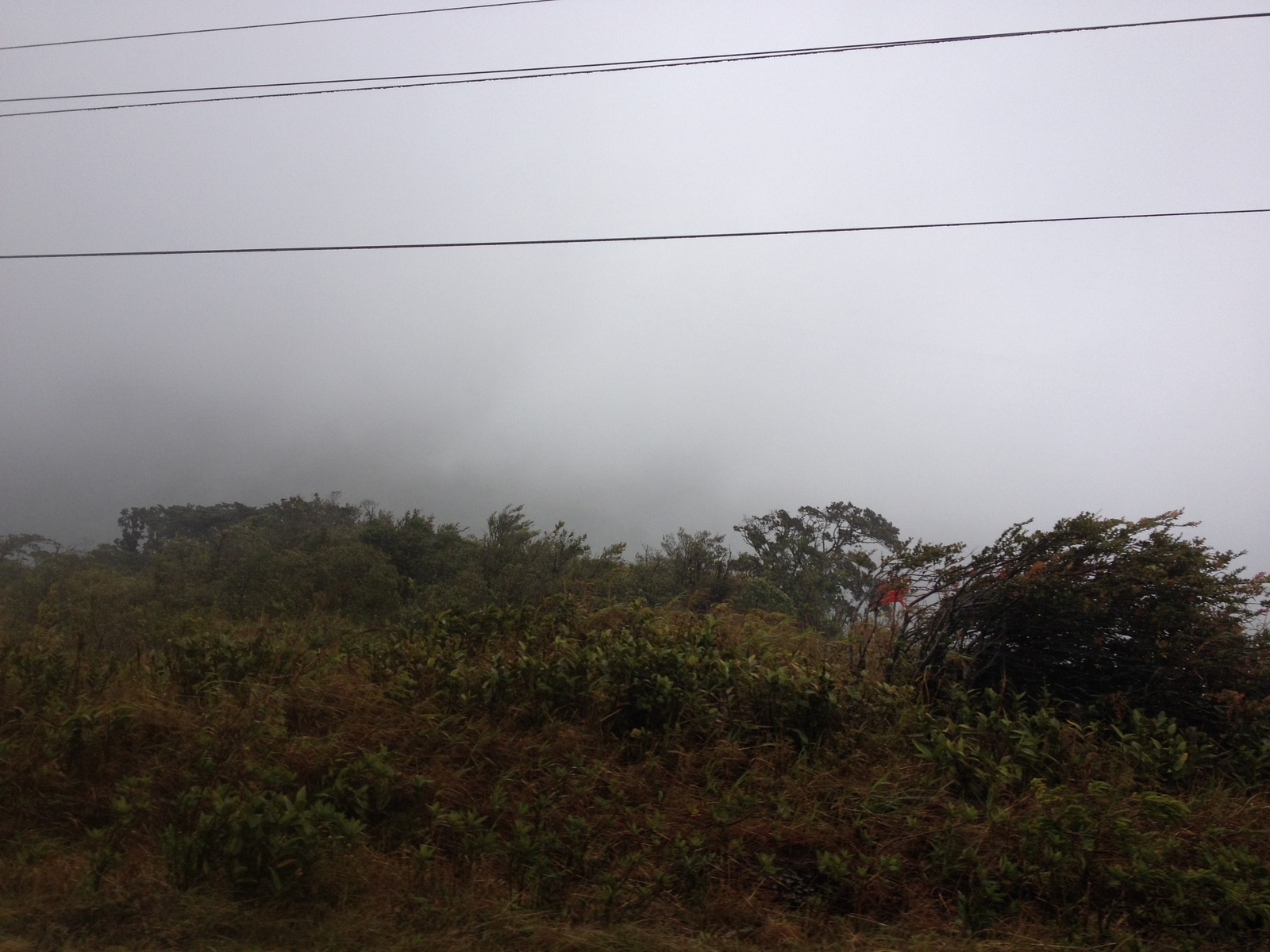 Picture Panama David to Bocas del toro 2015-03 23 - Photographer David to Bocas del toro