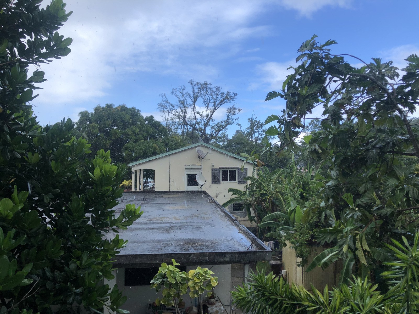 Picture Guadeloupe La Perle Beach 2021-02 34 - Picture La Perle Beach