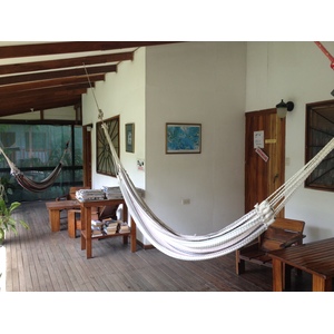 Picture Costa Rica Montezuma 2015-03 589 - Pictures Montezuma
