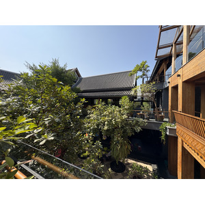 Picture Thailand Chiang Mai Kalm 2024-12 82 - Perspective Kalm
