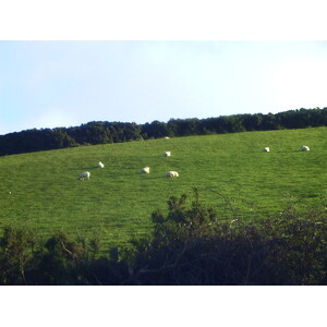 Picture Ireland 2000-11 5 - Perspective Ireland