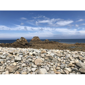Picture France Brehat Island 2020-06 214 - Picture Brehat Island