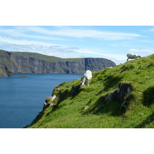 Picture United Kingdom Skye Neist Point 2011-07 43 - View Neist Point