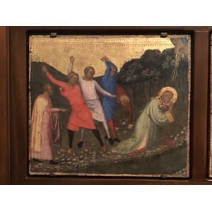 Picture Italy Rome Vatican Museum 2024-09 160 - Trip Vatican Museum