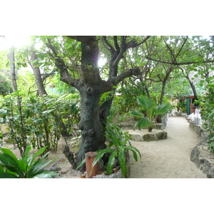 Picture Fiji Beachcomber Island 2010-05 49 - Tourist Places Beachcomber Island