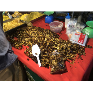 Picture Thailand Chiang Mai Nong Buak Haad Public Park 2024-01 35 - Picture Nong Buak Haad Public Park