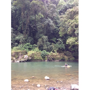 Picture Costa Rica Pacuare River 2015-03 104 - Sight Pacuare River