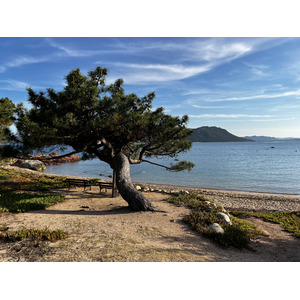Picture France Corsica ⁨Cala Rossa⁩ 2024-05 32 - Sight ⁨Cala Rossa⁩