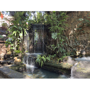 Picture Thailand Chiang Mai Faces restaurent 2026-01 5 - Perspective Faces restaurent