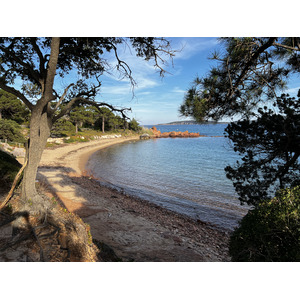 Picture France Corsica ⁨Cala Rossa⁩ 2024-05 8 - Pictures ⁨Cala Rossa⁩