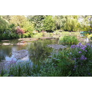 Picture France Giverny 2013-06 51 - Pictures Giverny