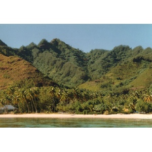 Picture Polynesia Moorea 1993-04 22 - Picture Moorea