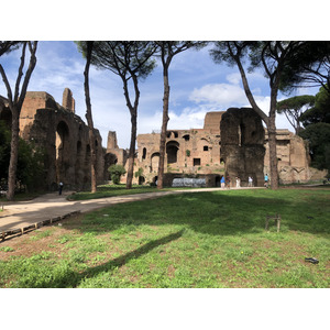 Picture Italy Rome Roman Forum 2024-09 156 - Discover Roman Forum