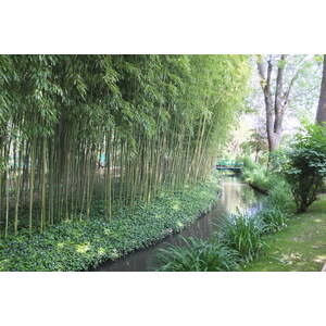 Picture France Giverny 2013-06 99 - Photo Giverny