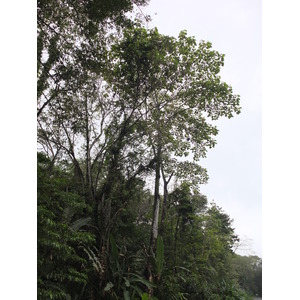 Picture Costa Rica Puerto Viejo de Talamanca 2015-03 4 - Randonee Puerto Viejo de Talamanca