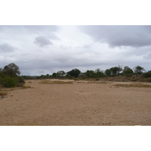 Picture South Africa Kruger National Park Crocodile River 2008-09 35 - Picture Crocodile River