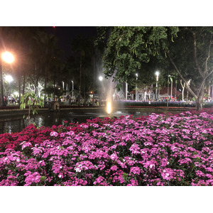 Picture Thailand Chiang Mai Nong Buak Haad Public Park 2024-01 63 - View Nong Buak Haad Public Park
