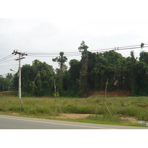 Picture Thailand Khao Lak Bang Sak Beach 2005-12 78 - Car Rental Bang Sak Beach