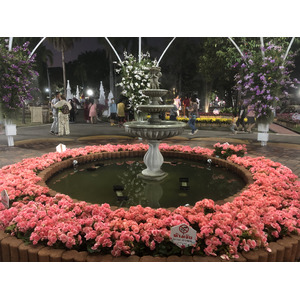 Picture Thailand Chiang Mai Nong Buak Haad Public Park 2024-01 30 - Views Nong Buak Haad Public Park