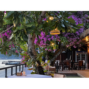 Picture Thailand Ko Phi Phi Don 2021-12 17 - Flight Ko Phi Phi Don