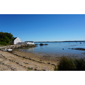 Picture France Locmariaquer 2016-08 34 - Picture Locmariaquer