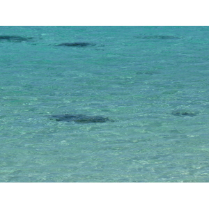 Picture New Caledonia Lifou Mu 2010-05 8 - Map Mu