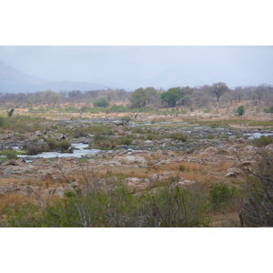 Picture South Africa Kruger National Park Crocodile River 2008-09 58 - Sightseeing Crocodile River