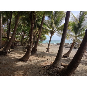 Picture Costa Rica Montezuma 2015-03 405 - Randonee Montezuma