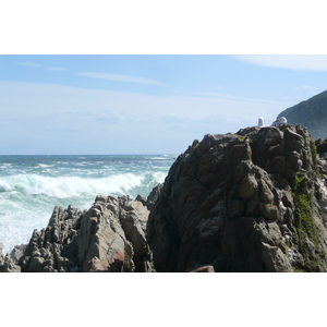 Picture South Africa Tsitsikamma National Park 2008-09 331 - Travels Tsitsikamma National Park