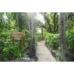 Picture Fiji Beachcomber Island 2010-05 50 - Tourist Places Beachcomber Island