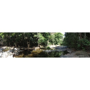 Picture Costa Rica Montezuma 2015-03 449 - Sight Montezuma
