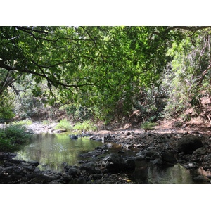 Picture Costa Rica Montezuma 2015-03 166 - View Montezuma