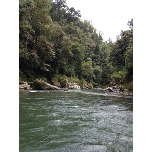 Picture Costa Rica Pacuare River 2015-03 150 - Sight Pacuare River