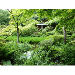 Picture Japan Tokyo 2010-06 24 - Sightseeing Tokyo