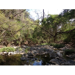 Picture Costa Rica Montezuma 2015-03 372 - Sight Montezuma