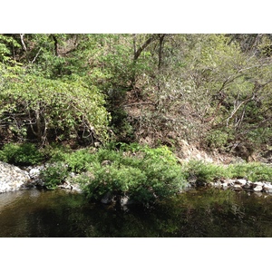 Picture Costa Rica Montezuma 2015-03 364 - Sight Montezuma