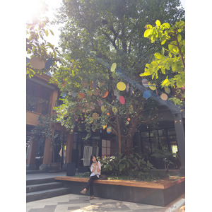 Picture Thailand Chiang Mai Kalm 2024-12 38 - Shopping Mall Kalm