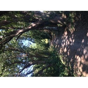 Picture France Locmariaquer 2016-08 47 - Visit Locmariaquer