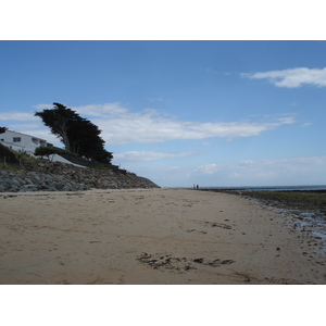 Picture France Noirmoutier 2006-08 89 - Flights Noirmoutier