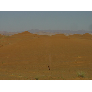 Picture United Arab Emirates Dubai to Al Ain road 2005-03 5 - Photographer Dubai to Al Ain road