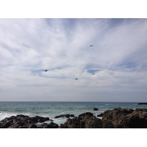 Picture Costa Rica Montezuma 2015-03 616 - Perspective Montezuma