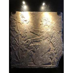 Picture Italy Rome Vatican Museum 2024-09 368 - Discover Vatican Museum