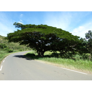 Picture New Caledonia Tontouta to Thio road 2010-05 25 - Pictures Tontouta to Thio road