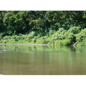 Picture Fiji Sigatoka river 2010-05 3 - Car Rental Sigatoka river
