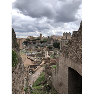 Picture Italy Rome Roman Forum 2024-09 182 - Photos Roman Forum