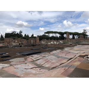Picture Italy Rome Roman Forum 2024-09 57 - Views Roman Forum