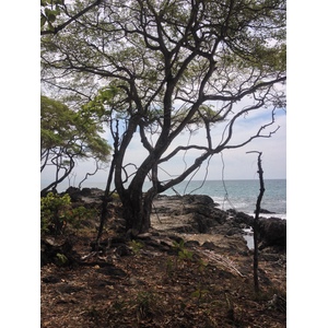 Picture Costa Rica Montezuma 2015-03 20 - Views Montezuma
