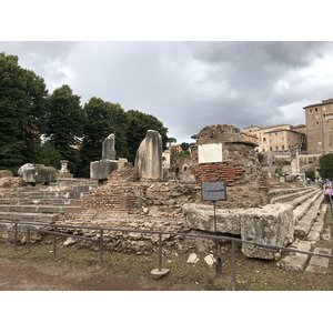 Picture Italy Rome Roman Forum 2024-09 183 - Sightseeing Roman Forum