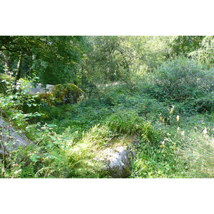 Picture France Huelgoat 2007-08 38 - Photos Huelgoat