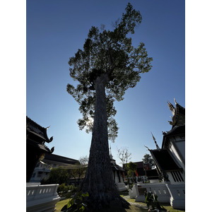 Picture Thailand Chiang Mai 2024-01 142 - Sightseeing Chiang Mai